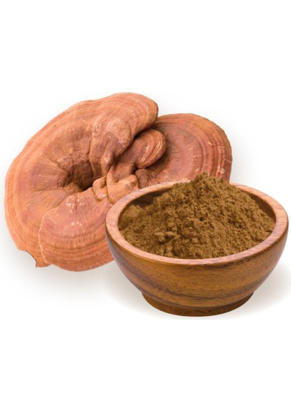 Toz Reishi Mantarı 20 gr (Ganoderma Lucidum)