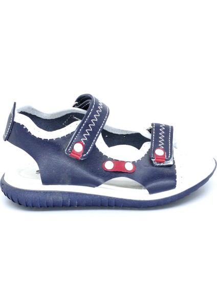 Şirinebebe 03701 Anatomic Erkek Çocuk Sandalet fiyatları