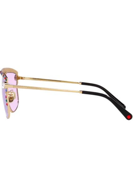 Dg 2281-B 02/1A 57*10 Kadın Güneş Gözlüğü modelleri