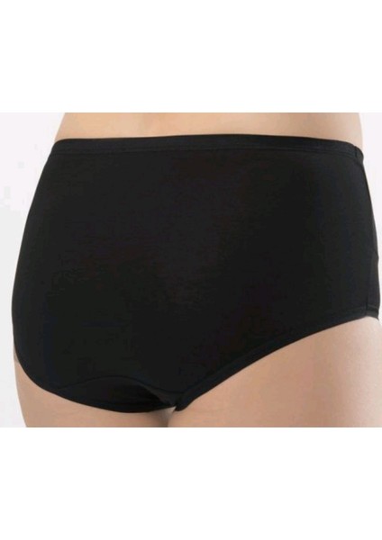 3 Adet Bambu Yüksek Bel Bayan Bato Kilot fiyatları