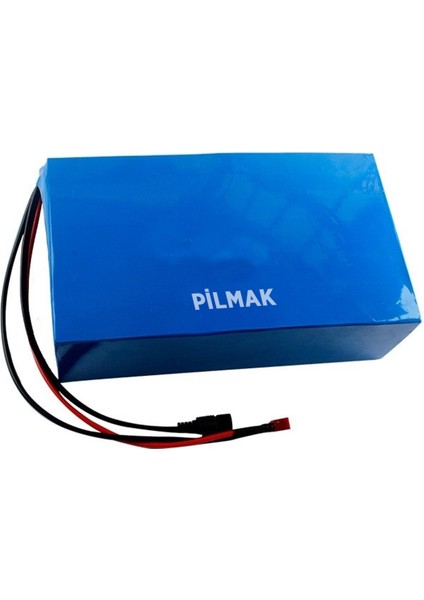 36 V 10 Ah Lithium Ion Pil