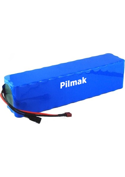 48 V 30 Ah Lithium Ion Pil