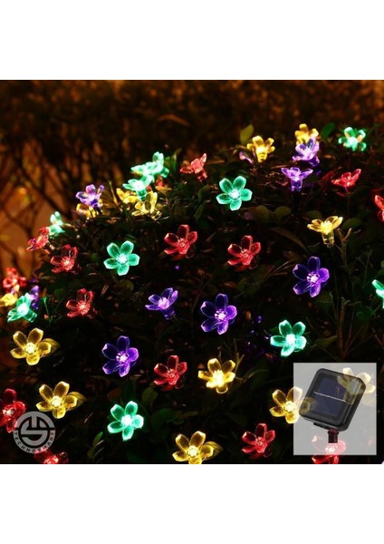 Solar 30 Ledli Çiçekli Rgb Bahçe Aydınlatma Asyon Güneş Enerjili