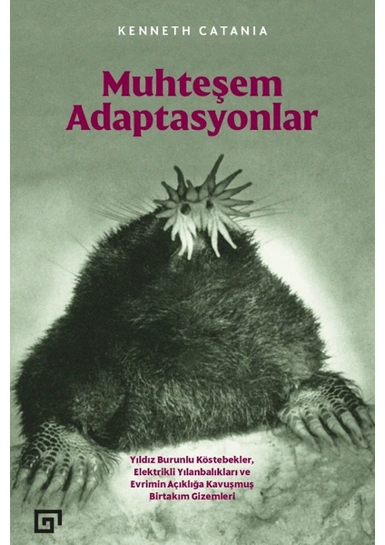 Muhteşem Adaptasyonlar - Kenneth Catania