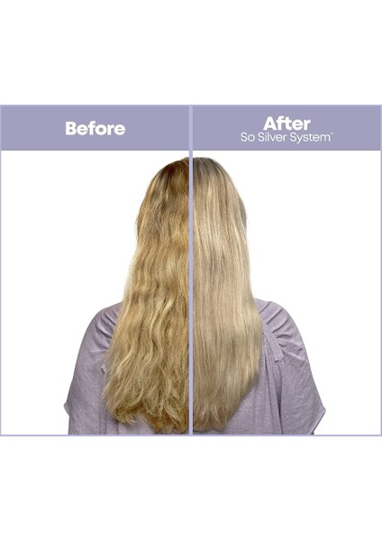 Total Results So Silver For Shiny Hair Color Hold Shampoo 1000 ml L