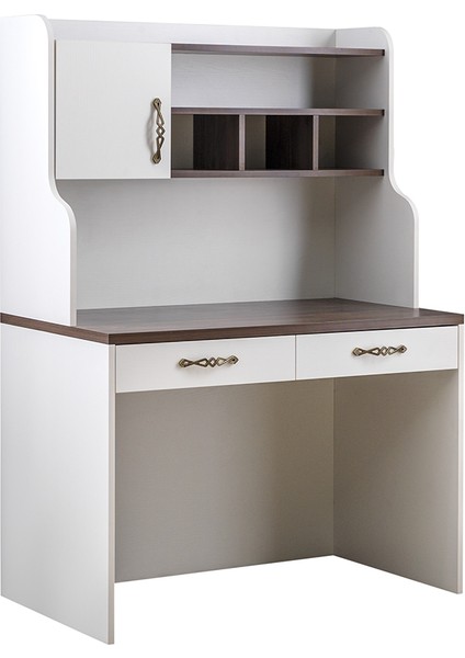 Rengarenk Morpheuse Çalışma Masası