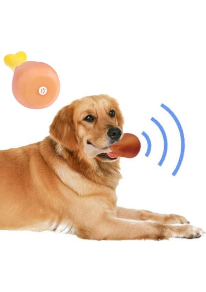 Köpekler Için Oyuncak Tavuk Budu- fiyatları