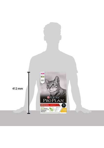 Tavuklu Yetişkin Kuru Kedi Maması 3 kg fırsatları