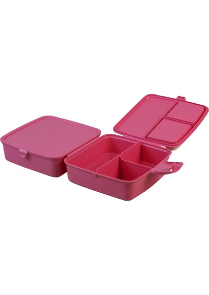 Premium Beslenme Kutusu modelleri