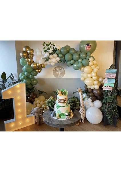 Krom Gold Küf Yeşili Beyaz Çikolata Kahve ve Ten Rengi Balon Zinciri 70 Adet+5 mt Balon Zinciri