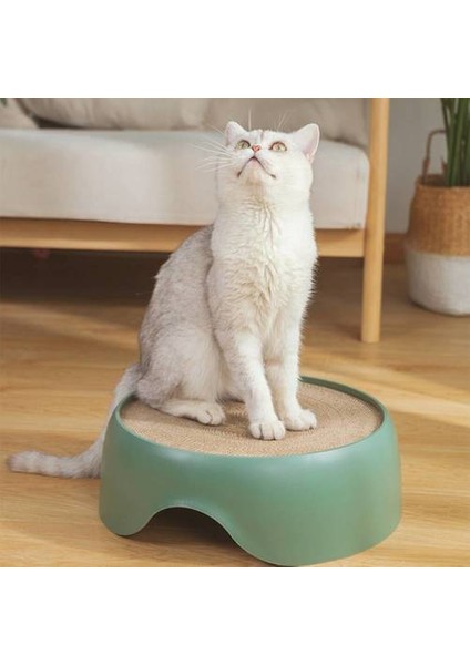 Kedi Oyuncak (Yurt Dışından)