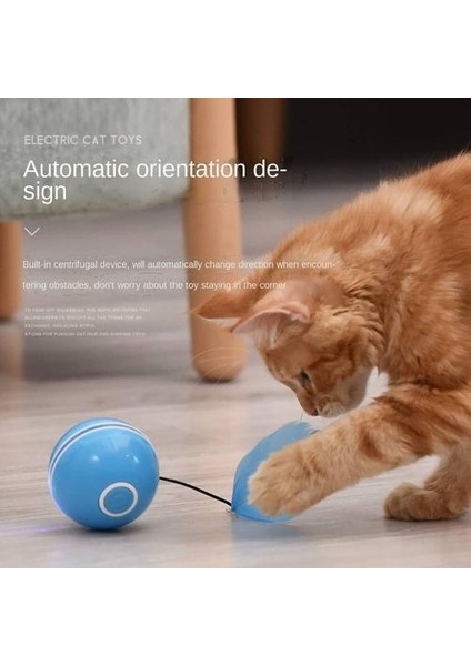 Kedi Oyuncak (Yurt Dışından) fırsatları