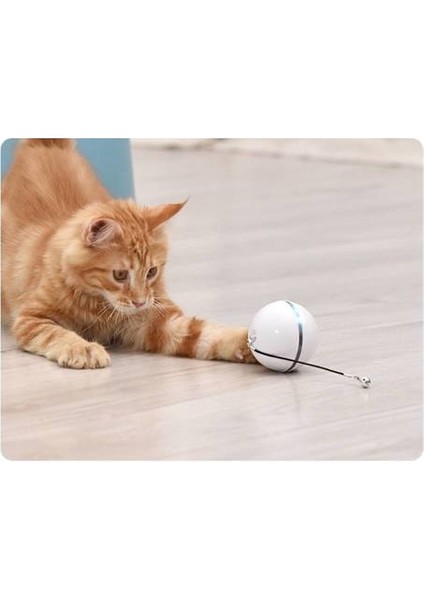 Kedi Oyuncak (Yurt Dışından) indirimleri