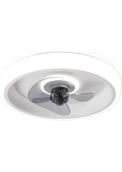 Yuvarlak Ferforje Avize, Entegre Lamba ve Fan, Yatak Odası İçin Görünmez Tavan Fan Lambası, 220V 2.4g Promise+Uygulama (Yurt Dışından)