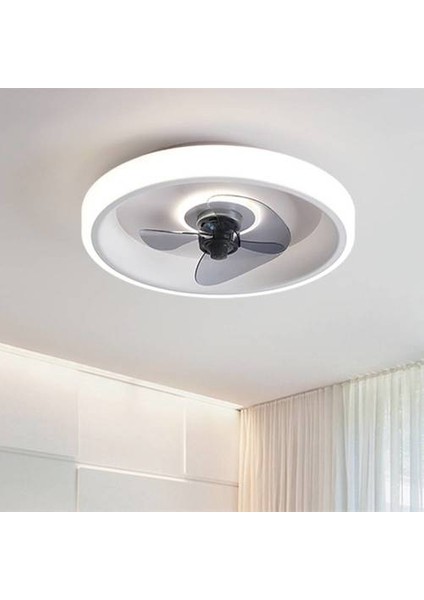 Yuvarlak Ferforje Avize, Entegre Lamba ve Fan, Yatak Odası İçin Görünmez Tavan Fan Lambası, 220V 2.4g Promise+Uygulama (Yurt Dışından)