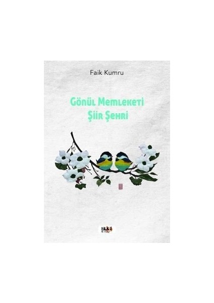 Gönül Memleketi Şiir Şehri