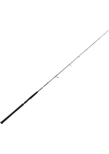 Sgs2 Jigging 1.80M 100-250GR Tek Parça Olta Kamışı
