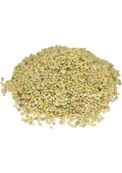 Bilye Kekik (100 gr )