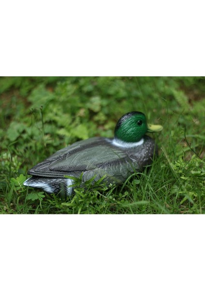 Plastik Mallard Ördek Dekor (Yurt Dışından) fiyatları