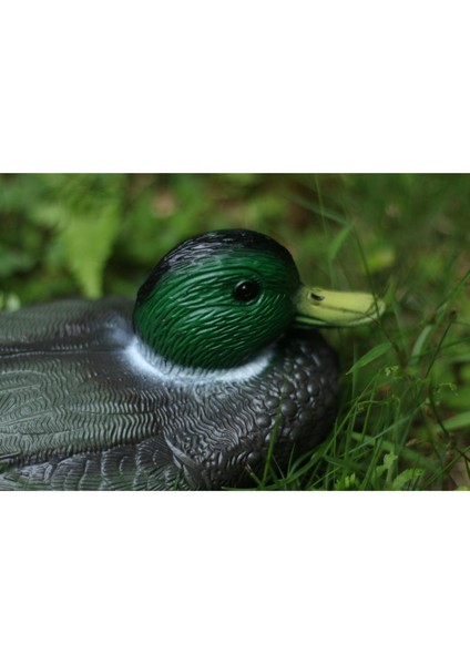 Plastik Mallard Ördek Dekor (Yurt Dışından) modelleri