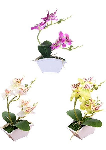 3 Yapay Orkide Bonsai Sahte Çiçek Kapalı (Yurt Dışından)