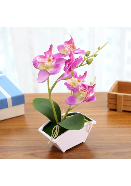 3 Yapay Orkide Bonsai Sahte Çiçek Kapalı (Yurt Dışından) fiyatları