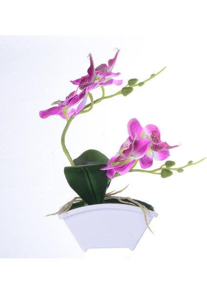 3 Yapay Orkide Bonsai Sahte Çiçek Kapalı (Yurt Dışından) modelleri