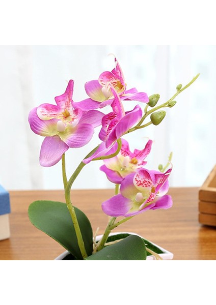 3 Yapay Orkide Bonsai Sahte Çiçek Kapalı (Yurt Dışından) fırsatları