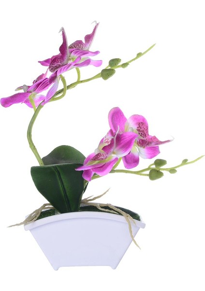 3 Yapay Orkide Bonsai Sahte Çiçek Kapalı (Yurt Dışından) indirimleri
