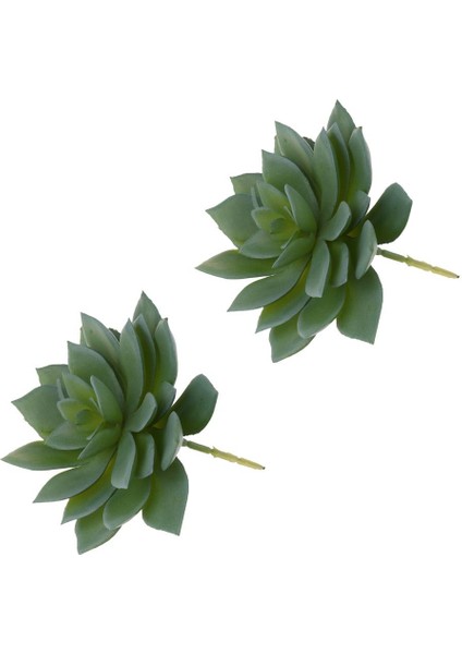 2 Adet Lotus Çiçeği (Yurt Dışından)