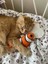 Yumurta - Kedi Naneli (Li) Kedi Oyuncağı Kedi Yastığı - Dino Pet Oyuncak 4