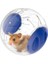 Şeffaf Sevimli Pet Hamster Egzersiz Topu Mini Trot Plastik Oyuncaklar (Mavi) (Yurt Dışından) 1