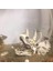 Sürüngenler Amfibi Habitat Hideaway Mağara Akvaryum Süslemeleri Dinozor Triceratops Taklit Kafatası Modeli | Süslemeler (Yurt Dışından) 5