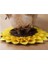 Pet Köpek Snuffle Mat Burun Kokusu Eğitim Sniffing Pad Yavaş Besleme Kase Halı | Köpek Oyuncakları (Yurt Dışından) 5