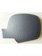 Kapak Renault Kangoo Iıı 2008-2013 Astarlı Sol 1