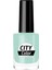 Color Oje No:86 1