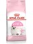 Kitten Yavru Kedi Maması 2 Kg X 2 1