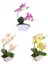 3 Yapay Orkide Bonsai Sahte Çiçek Kapalı (Yurt Dışından) 1