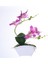 3 Yapay Orkide Bonsai Sahte Çiçek Kapalı (Yurt Dışından) 3