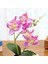 3 Yapay Orkide Bonsai Sahte Çiçek Kapalı (Yurt Dışından) 4
