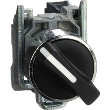 Schneider Selector Swıtch XB4BD21