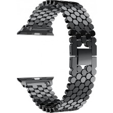 Pilanix Apple Watch Uyumlu 40 mm Dama Model Metal Kayış-Kordon