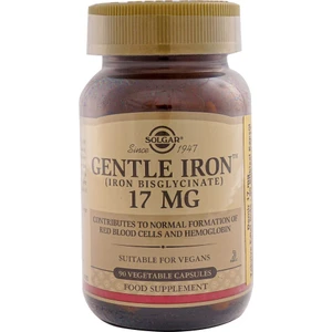 Gentle Iron 17 Mg 90 Kapsül