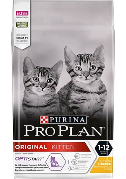 Proplan Kitten Tavuklu Yavru Kedi Maması 10KG