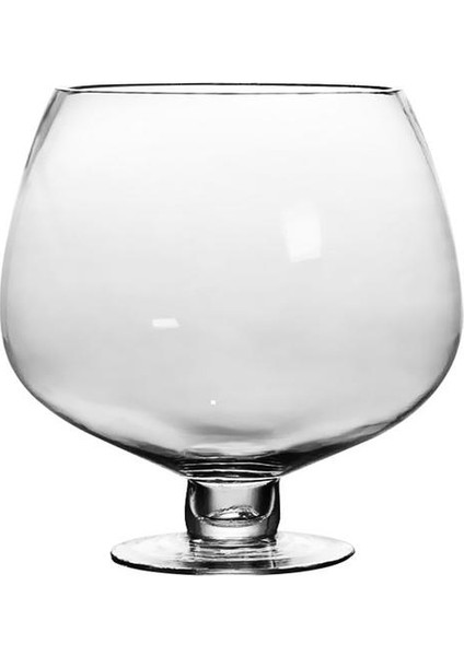 2000ML Parti İçin Komik Büyük Büyük Şarap Kadehi | Bira Steins (Şeffaf) (Yurt Dışından)