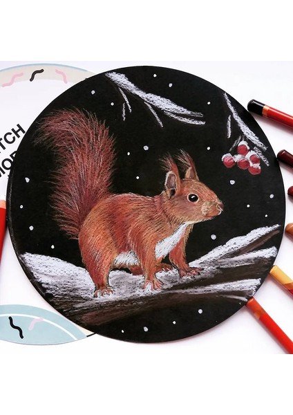 Super Kombo 3ü1 Arada Yuvarlak Albüm Seti D15 cm (Suluboya, Marker, Karışık Teknıkler!)