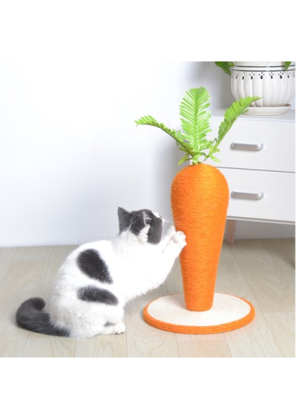 Kedi Çizik Çerçeve Kedi Çizik Sonrası Turuncu Gıdıklama Dikey Havuç Kedi Çizik Kurulu Malzemeleri fırsatları