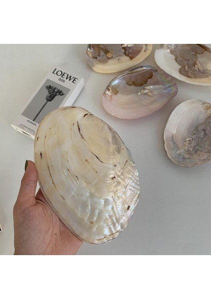 Inci Shell Masa Tepsi Biblo Parfüm Kozmetik Dekoratif Tepsi Düğün Makyaj Banyo Takı Depolama Tepsisi | Depolama Tepsileri fırsatları