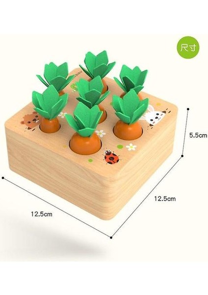 Hasat Havuç Çocukları Ahşap Montessori Oyuncaklar Blok Set Çocuklar Boyut Boyut Şekline Karşı Havuç Oyunu Erken Eğitim Oyuncakları