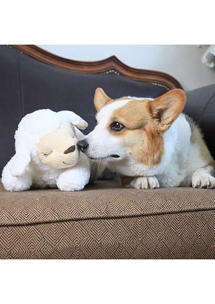 Sevimli Hayvan Şekli Kalp Atışı Köpek Davranışsal Eğitim Oyuncak Peluş Pet Anksiyete Rölyef Uyku Yardım Bebek Dayanıklı Köpek Çiğnemek Oyuncaklar | Köpek Oyuncakları fiyatları